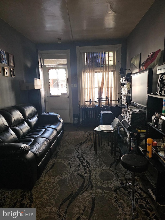 living room with radiator heating unit