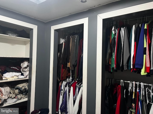 view of closet