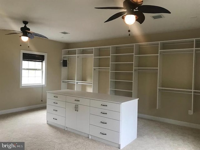 spacious closet with light colored carpet