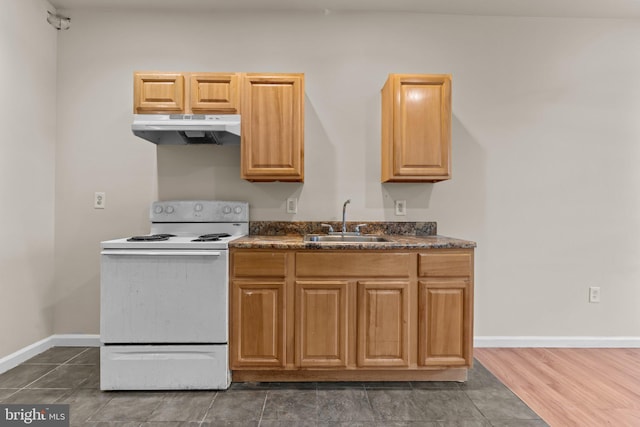 kitchen with electric stove, sink, and dark hardwood / wood-style floors