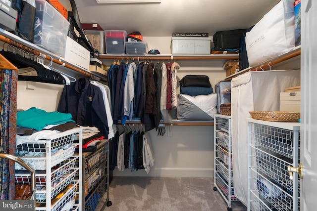 spacious closet with carpet