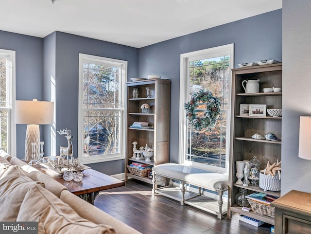 sitting room featuring plenty of natural light and dark hardwood / wood-style floors