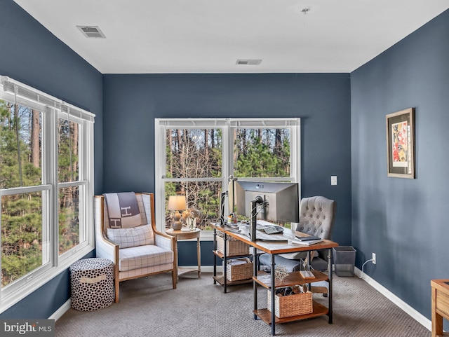 home office with carpet and a healthy amount of sunlight