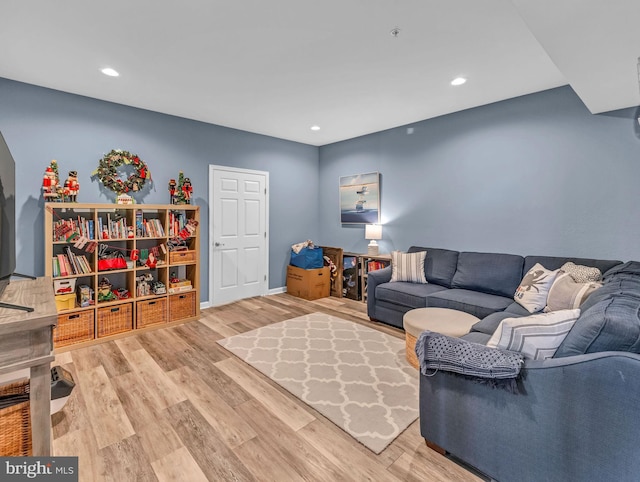 living room featuring hardwood / wood-style floors