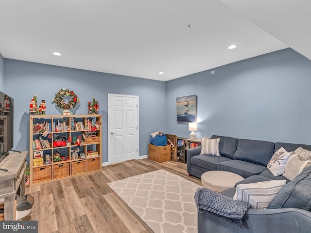 living room featuring light hardwood / wood-style flooring