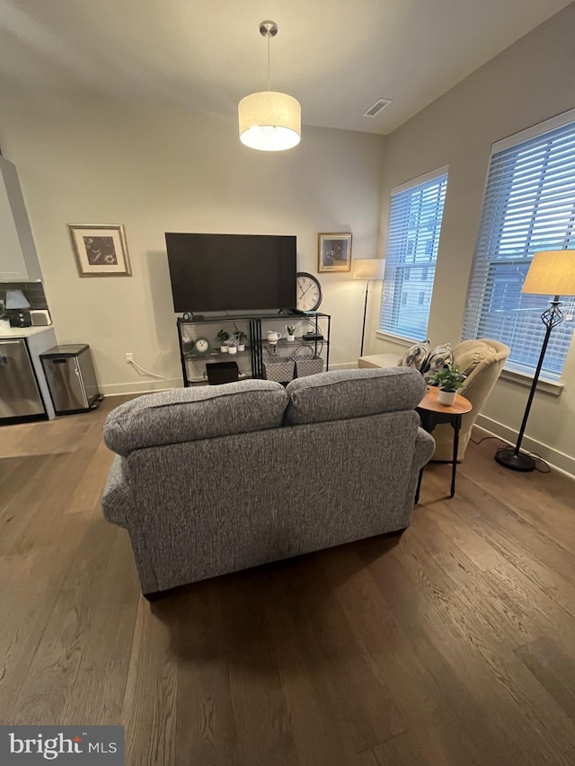 living room featuring wood-type flooring