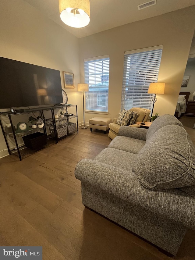 living room featuring hardwood / wood-style flooring