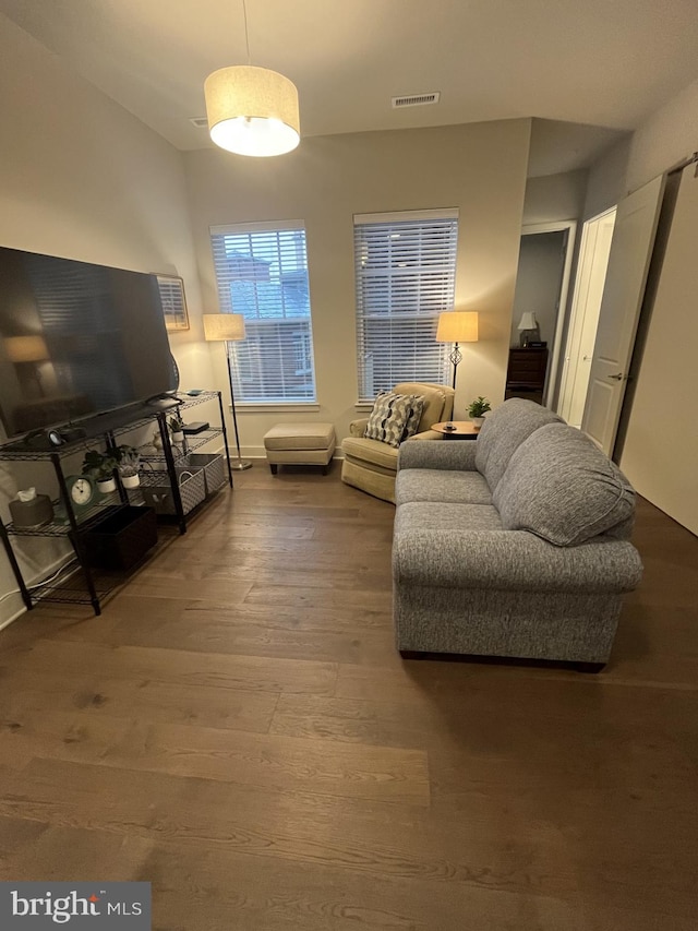 living room featuring wood-type flooring