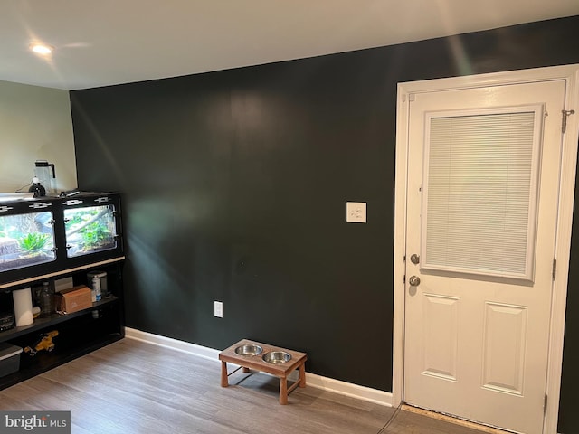 entrance foyer with hardwood / wood-style flooring