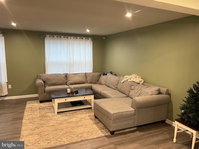 living room featuring wood-type flooring