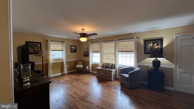 living area with ceiling fan and dark hardwood / wood-style floors