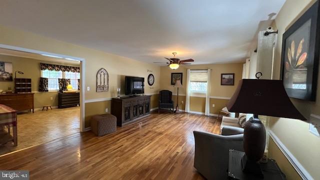 living room featuring hardwood / wood-style flooring, a wealth of natural light, and ceiling fan