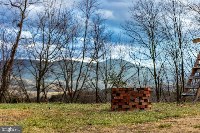 2520 Ridge Rd, Upper Tract, WV 26866 - view of yard featuring a mountain view