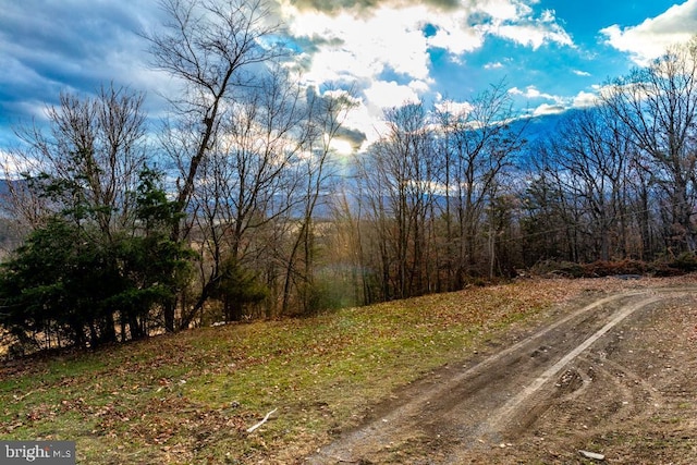 2520 Ridge Rd, Upper Tract, WV 26866 - view of road