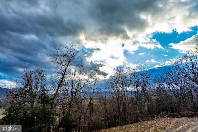 2520 Ridge Rd, Upper Tract, WV 26866 - mountain view featuring a forest