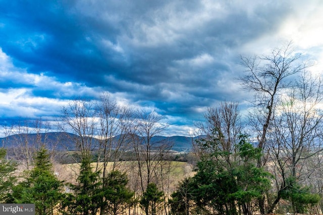 2520 Ridge Rd, Upper Tract, WV 26866 - mountain view