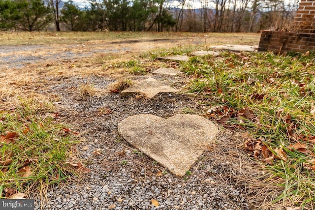 2520 Ridge Rd, Upper Tract, WV 26866 - view of yard