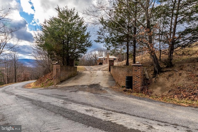 2520 Ridge Rd, Upper Tract, WV 26866 - view of asphalt driveway