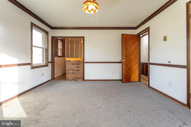 spare room featuring light colored carpet and crown molding