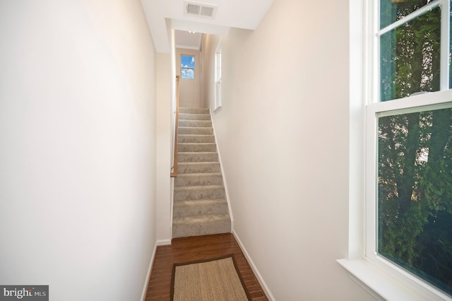 staircase with wood-type flooring