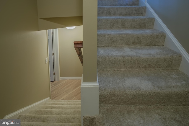 stairway with wood-type flooring