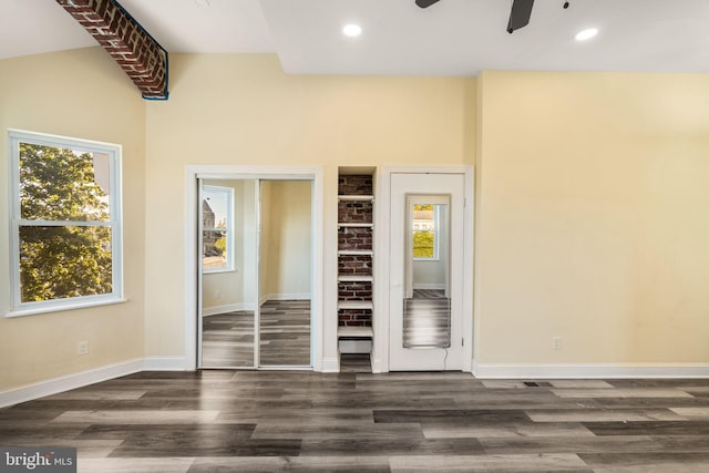 interior space with a closet, dark hardwood / wood-style floors, and multiple windows