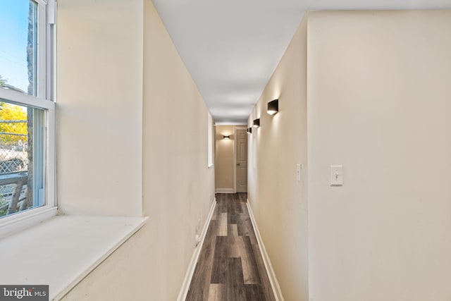 hallway with hardwood / wood-style flooring