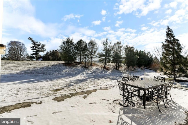 view of yard covered in snow