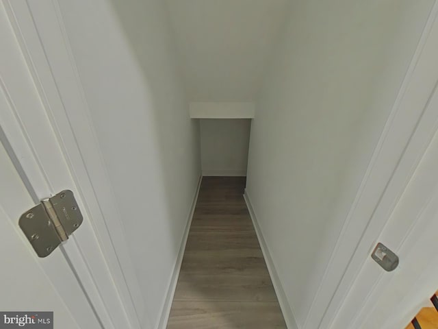 staircase featuring wood-type flooring