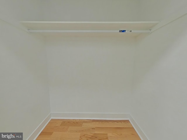 spacious closet featuring wood-type flooring