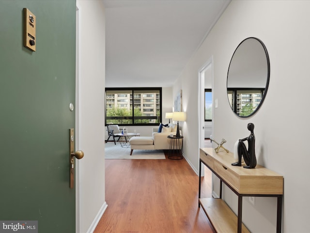 hallway featuring hardwood / wood-style flooring