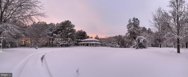 view of yard covered in snow