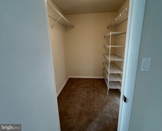 spacious closet with dark carpet