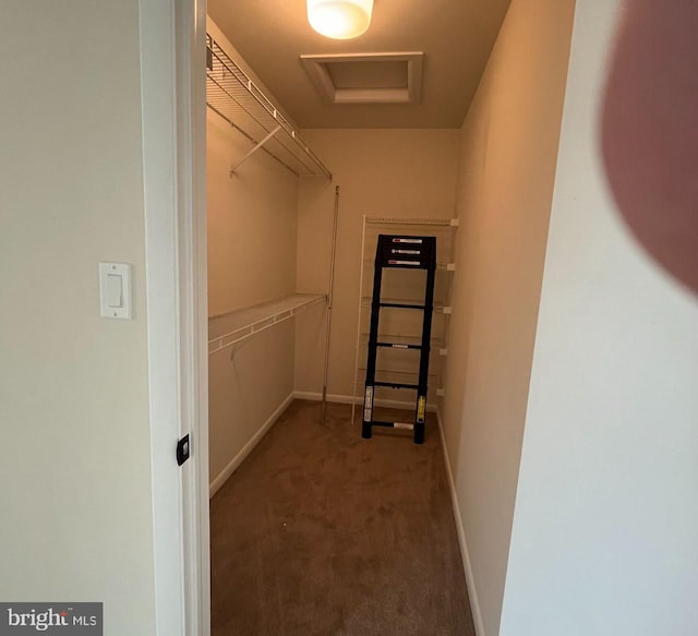 walk in closet with carpet