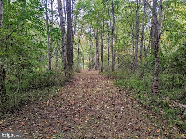 101 Burnt Mill Cir Unit 1B, Chadds Ford, PA 19317 - view of street featuring a forest view
