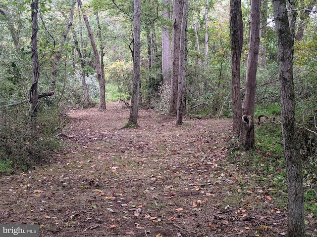 view of local wilderness