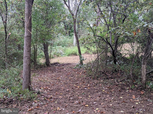 101 Burnt Mill Cir Unit 1B, Chadds Ford, PA 19317 - view of wooded area