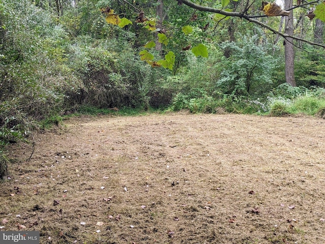 view of local wilderness