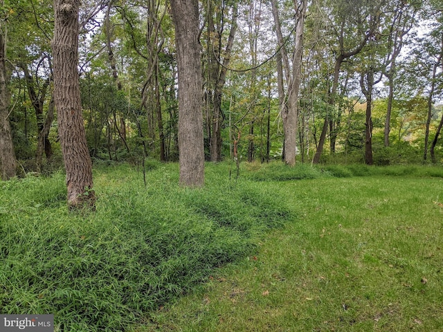 101 Burnt Mill Cir Unit 1B, Chadds Ford, PA 19317 - view of yard