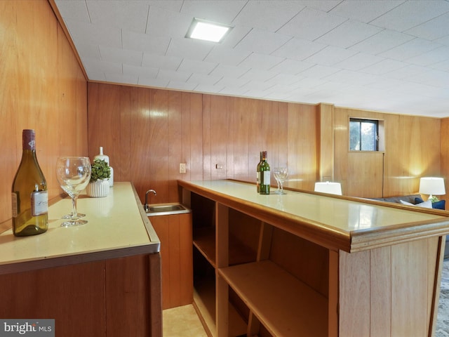 interior space with wood walls and sink