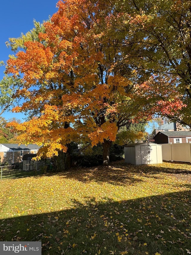 view of yard featuring a storage unit