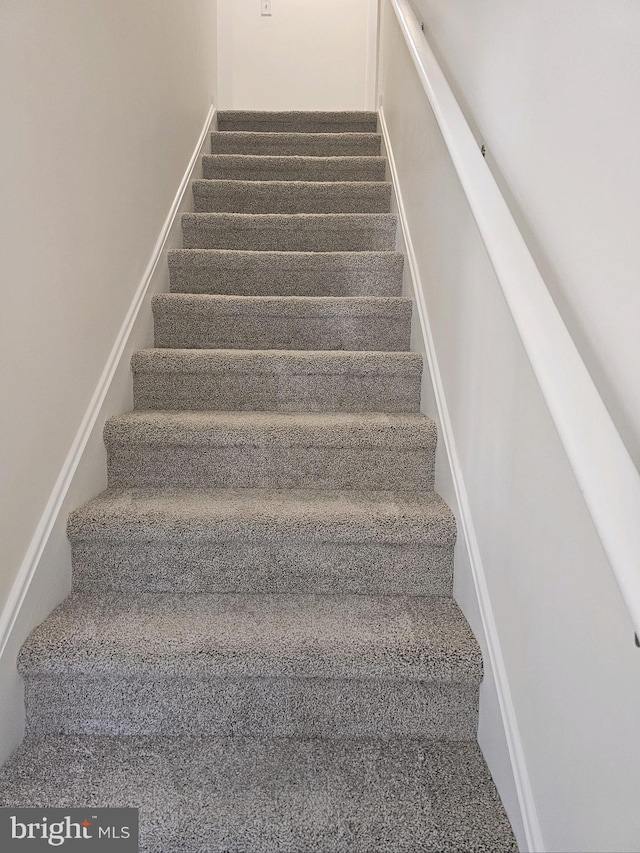 staircase with carpet