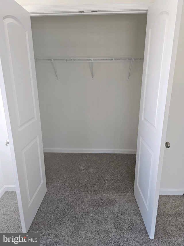 view of closet