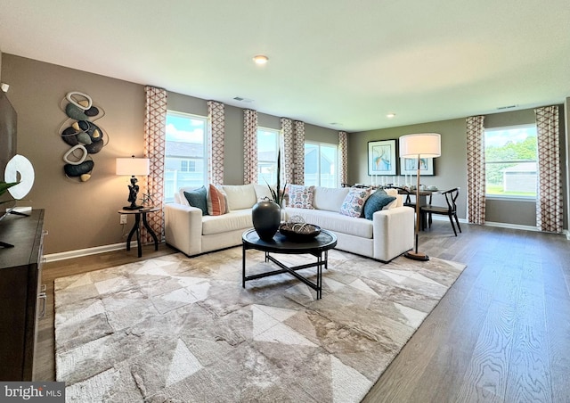 living room featuring a wealth of natural light and light wood-type flooring