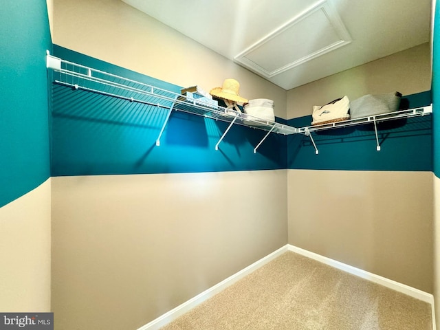 spacious closet with carpet floors