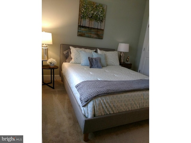 bedroom featuring carpet floors