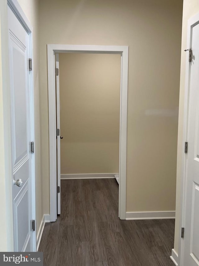 hall featuring dark hardwood / wood-style floors