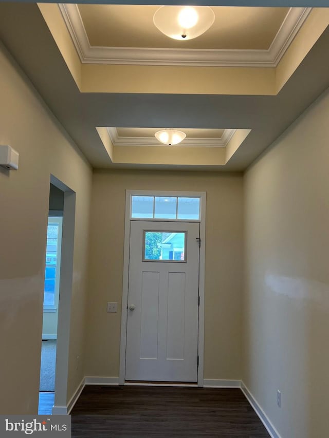 foyer entrance featuring a raised ceiling, crown molding, and dark hardwood / wood-style floors