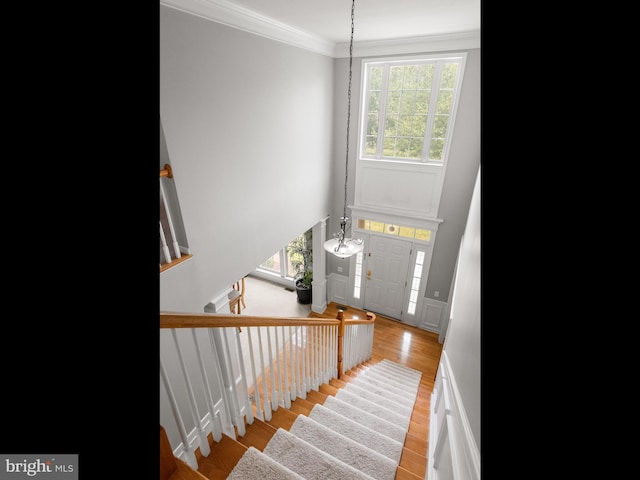 entrance foyer with wood-type flooring and crown molding