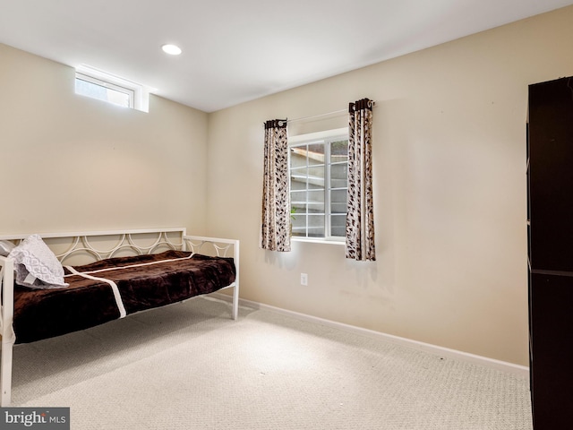 living area featuring carpet floors